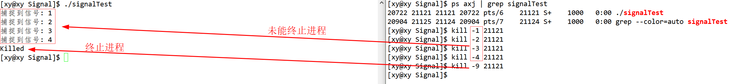 image-20230330233343954