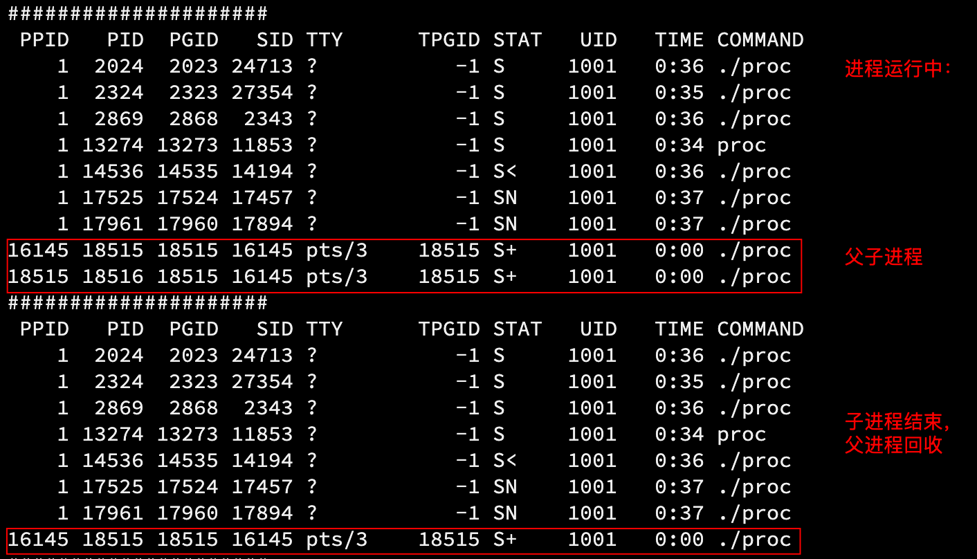 image-20221013102527447